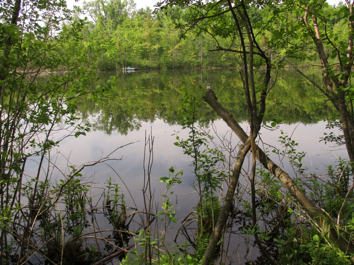Brampton’s Kettle Lakes